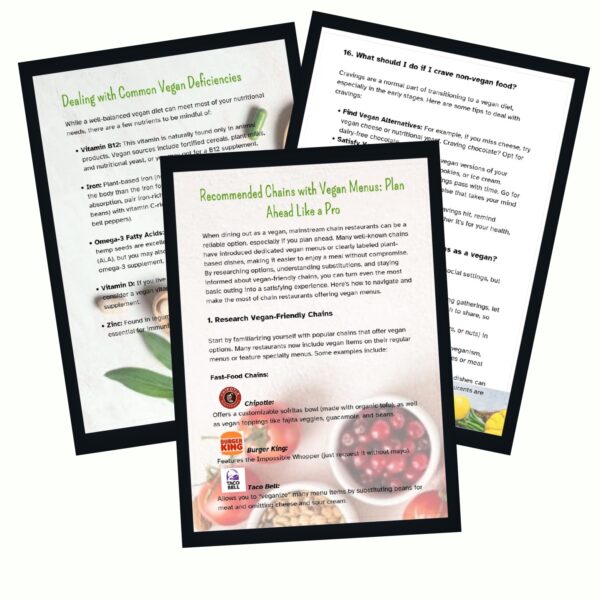 Vegan Health Transformation Kit - Image 2