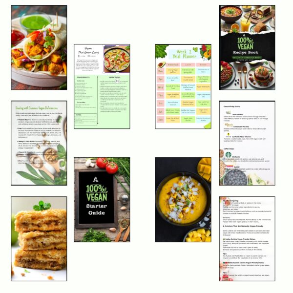 Vegan Health Transformation Kit - Image 8